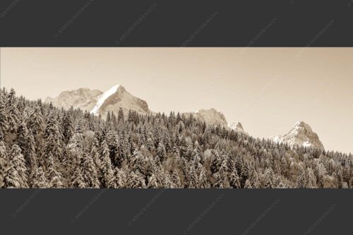 Wald bei Garmisch-Partenirchen mit Alpspitze, Zugspitze und Waxenstein im Wettersteingebirge - Die Wichtigsten 2,5:1 sepia -- Alpspitze Zugspitze und Waxenstein - mehr Infos bei www.Kriner-Weiermann.de