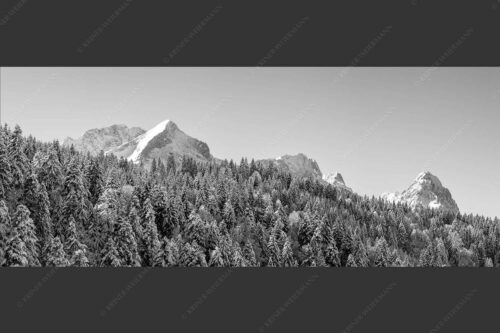 Wald bei Garmisch-Partenirchen mit Alpspitze, Zugspitze und Waxenstein im Wettersteingebirge - Die Wichtigsten 2,5:1 sw -- Alpspitze Zugspitze und Waxenstein - mehr Infos bei www.Kriner-Weiermann.de