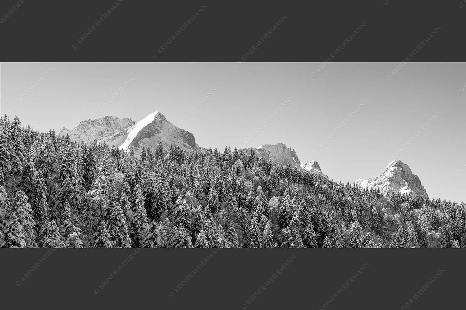 Wald bei Garmisch-Partenirchen mit Alpspitze, Zugspitze und Waxenstein im Wettersteingebirge - Die Wichtigsten 2,5:1 sw -- Alpspitze Zugspitze und Waxenstein - mehr Infos bei www.Kriner-Weiermann.de