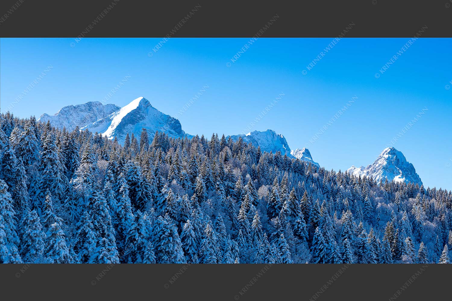 Wald bei Garmisch-Partenirchen mit Alpspitze, Zugspitze und Waxenstein im Wettersteingebirge - Die Wichtigsten 2:1 -- Alpspitze Zugspitze und Waxenstein - mehr Infos bei www.Kriner-Weiermann.de
