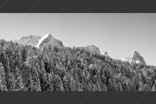 Wald bei Garmisch-Partenirchen mit Alpspitze, Zugspitze und Waxenstein im Wettersteingebirge - Die Wichtigsten 2:1 sw -- Alpspitze Zugspitze und Waxenstein - mehr Infos bei www.Kriner-Weiermann.de