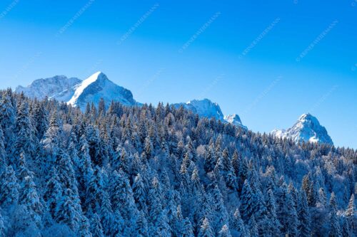 Wald bei Garmisch-Partenirchen mit Alpspitze, Zugspitze und Waxenstein im Wettersteingebirge - Die Wichtigsten 3:2  -- Alpspitze Zugspitze und Waxenstein - mehr Infos bei www.Kriner-Weiermann.de