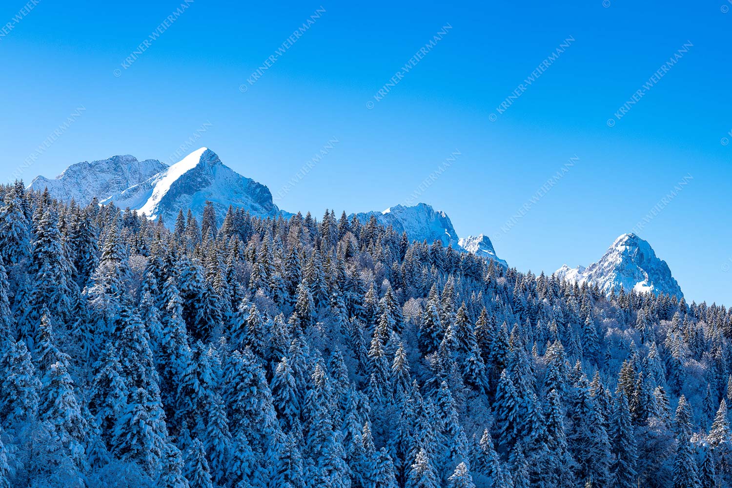 Wald bei Garmisch-Partenirchen mit Alpspitze, Zugspitze und Waxenstein im Wettersteingebirge - Die Wichtigsten 3:2 -- Alpspitze Zugspitze und Waxenstein - mehr Infos bei www.Kriner-Weiermann.de