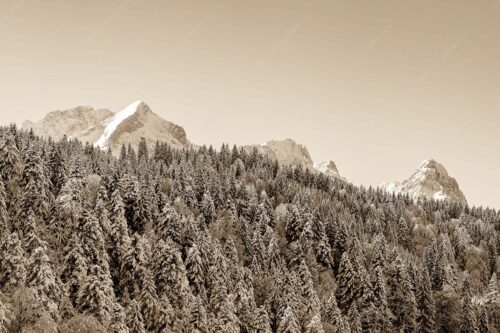Wald bei Garmisch-Partenirchen mit Alpspitze, Zugspitze und Waxenstein im Wettersteingebirge - Die Wichtigsten 3:2 sepia -- Alpspitze Zugspitze und Waxenstein - mehr Infos bei www.Kriner-Weiermann.de