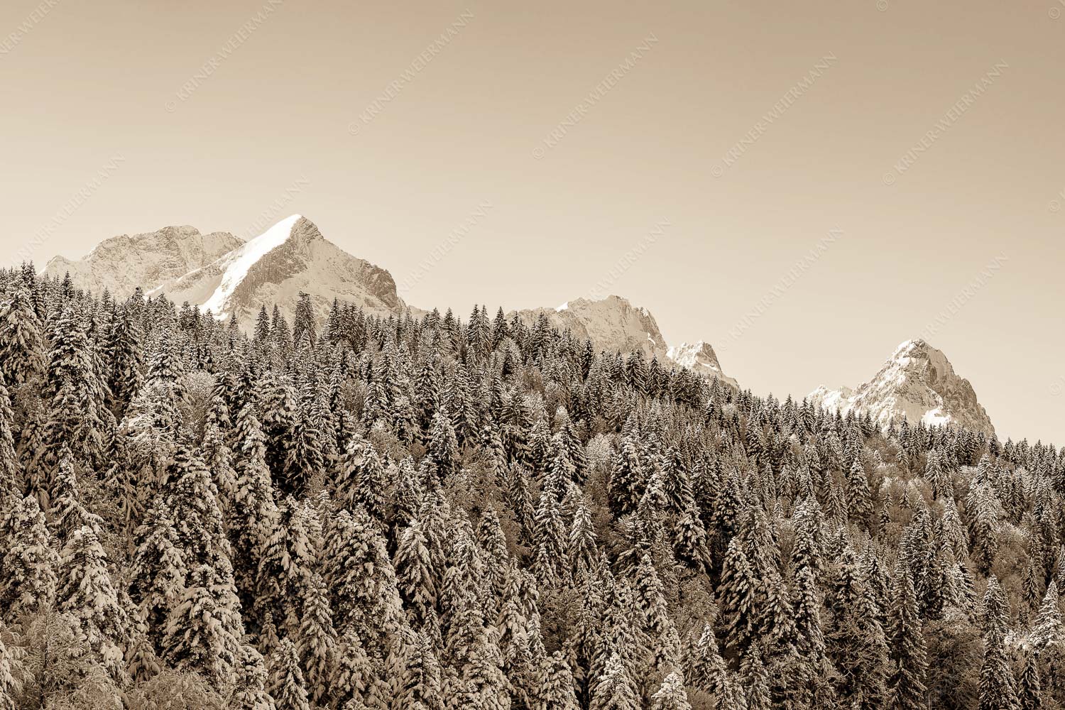 Wald bei Garmisch-Partenirchen mit Alpspitze, Zugspitze und Waxenstein im Wettersteingebirge - Die Wichtigsten 3:2 sepia -- Alpspitze Zugspitze und Waxenstein - mehr Infos bei www.Kriner-Weiermann.de