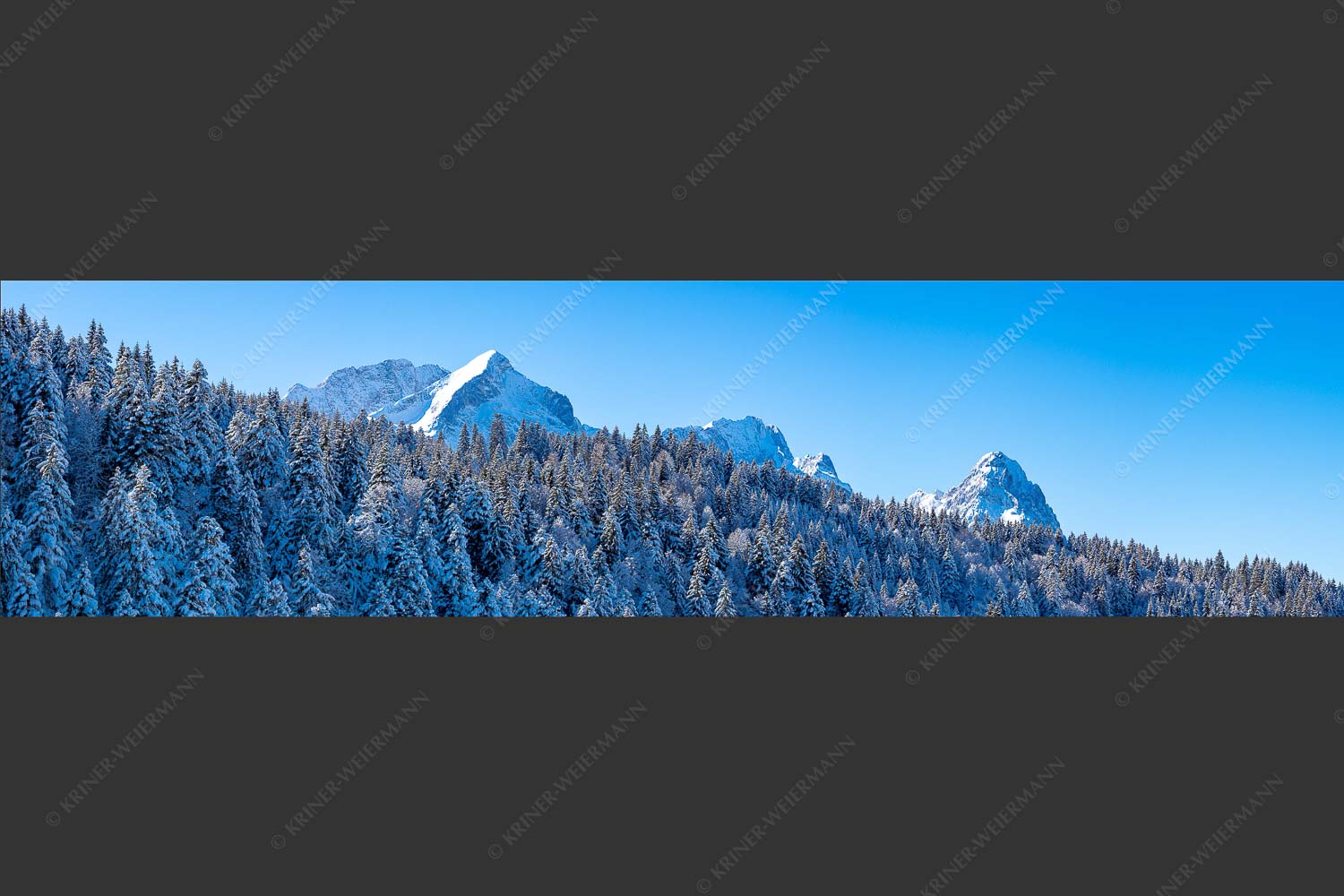 Wald bei Garmisch-Partenirchen mit Alpspitze, Zugspitze und Waxenstein im Wettersteingebirge - Die Wichtigsten 4:1  -- Alpspitze Zugspitze und Waxenstein - mehr Infos bei www.Kriner-Weiermann.de