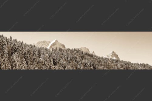 Wald bei Garmisch-Partenirchen mit Alpspitze, Zugspitze und Waxenstein im Wettersteingebirge - Die Wichtigsten 4:1 sepia -- Alpspitze Zugspitze und Waxenstein - mehr Infos bei www.Kriner-Weiermann.de