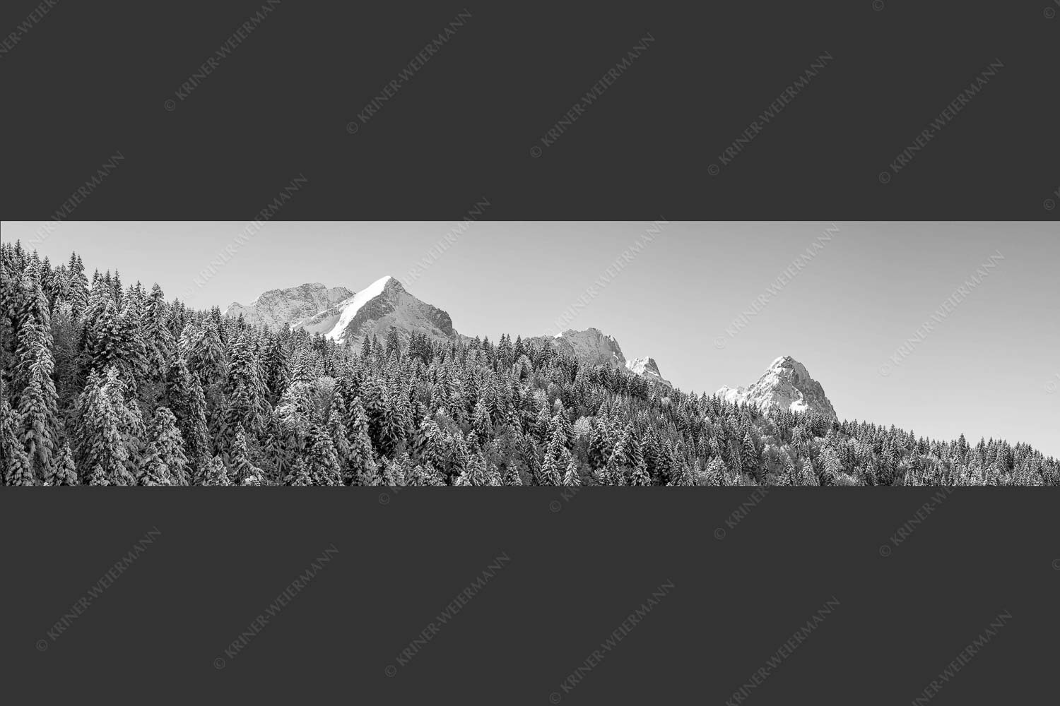 Wald bei Garmisch-Partenirchen mit Alpspitze, Zugspitze und Waxenstein im Wettersteingebirge - Die Wichtigsten 4:1 sw -- Alpspitze Zugspitze und Waxenstein - mehr Infos bei www.Kriner-Weiermann.de