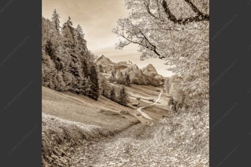 Blick über Wamberg zum Zugspitzmassiv - Drei schauen raus 1:1 sepia -- Wamberg mit Alpspitze Zugspitze und Waxenstein - mehr Infos bei www.Kriner-Weiermann.de