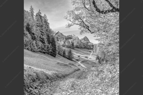 Blick über Wamberg zum Zugspitzmassiv - Drei schauen raus 1:1 sw -- Wamberg mit Alpspitze Zugspitze und Waxenstein - mehr Infos bei www.Kriner-Weiermann.de