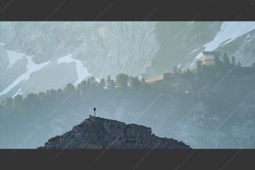 Gams an der Stuibenspitze mit Schachenschloss im Hintergrund - Einsamer Streiter 2:1  -- Gams mit Schachenschloss - mehr Infos bei www.Kriner-Weiermann.de
