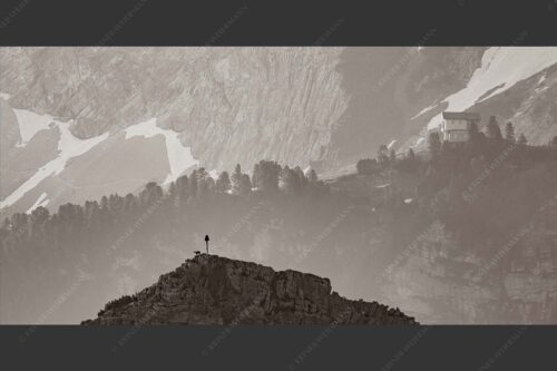 Gams an der Stuibenspitze mit Schachenschloss im Hintergrund - Einsamer Streiter 2:1 sepia -- Gams mit Schachenschloss - mehr Infos bei www.Kriner-Weiermann.de