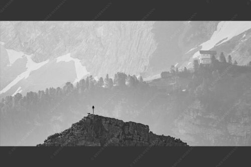 Gams an der Stuibenspitze mit Schachenschloss im Hintergrund - Einsamer Streiter 2:1 sw -- Gams mit Schachenschloss - mehr Infos bei www.Kriner-Weiermann.de