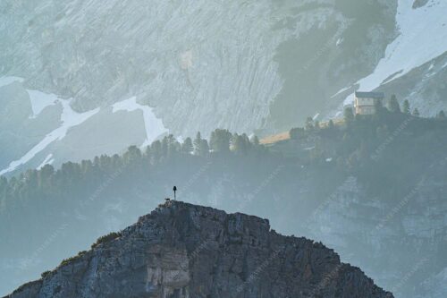 Gams an der Stuibenspitze mit Schachenschloss im Hintergrund - Einsamer Streiter 3:2  -- Gams mit Schachenschloss - mehr Infos bei www.Kriner-Weiermann.de