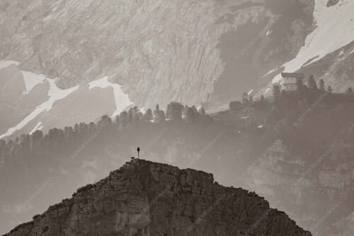 Gams an der Stuibenspitze mit Schachenschloss im Hintergrund - Einsamer Streiter 3:2 sepia -- Gams mit Schachenschloss - mehr Infos bei www.Kriner-Weiermann.de
