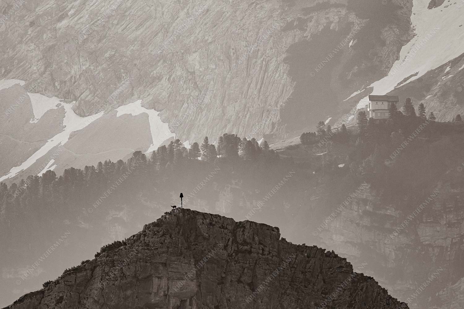 Gams an der Stuibenspitze mit Schachenschloss im Hintergrund - Einsamer Streiter 3:2 sepia -- Gams mit Schachenschloss - mehr Infos bei www.Kriner-Weiermann.de