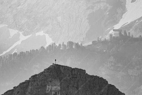 Gams an der Stuibenspitze mit Schachenschloss im Hintergrund - Einsamer Streiter 3:2 sw -- Gams mit Schachenschloss - mehr Infos bei www.Kriner-Weiermann.de