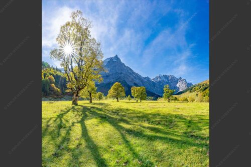 Blick vom Ahornboden zur Spritzkarspitze im Karwendel - Engahorn 1:1  -- Engalm Ahornboden Karwendel - mehr Infos bei www.Kriner-Weiermann.de