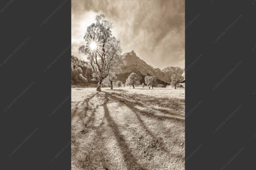 Blick vom Ahornboden zur Spritzkarspitze im Karwendel - Engahorn 2:3 sepia -- Engalm Ahornboden Karwendel - mehr Infos bei www.Kriner-Weiermann.de