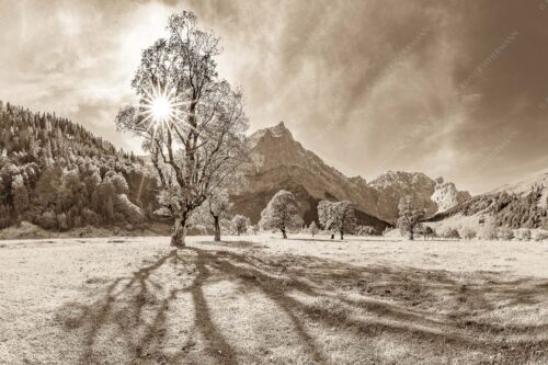 Blick vom Ahornboden zur Spritzkarspitze im Karwendel - Engahorn 3:2 sepia -- Engalm Ahornboden Karwendel - mehr Infos bei www.Kriner-Weiermann.de