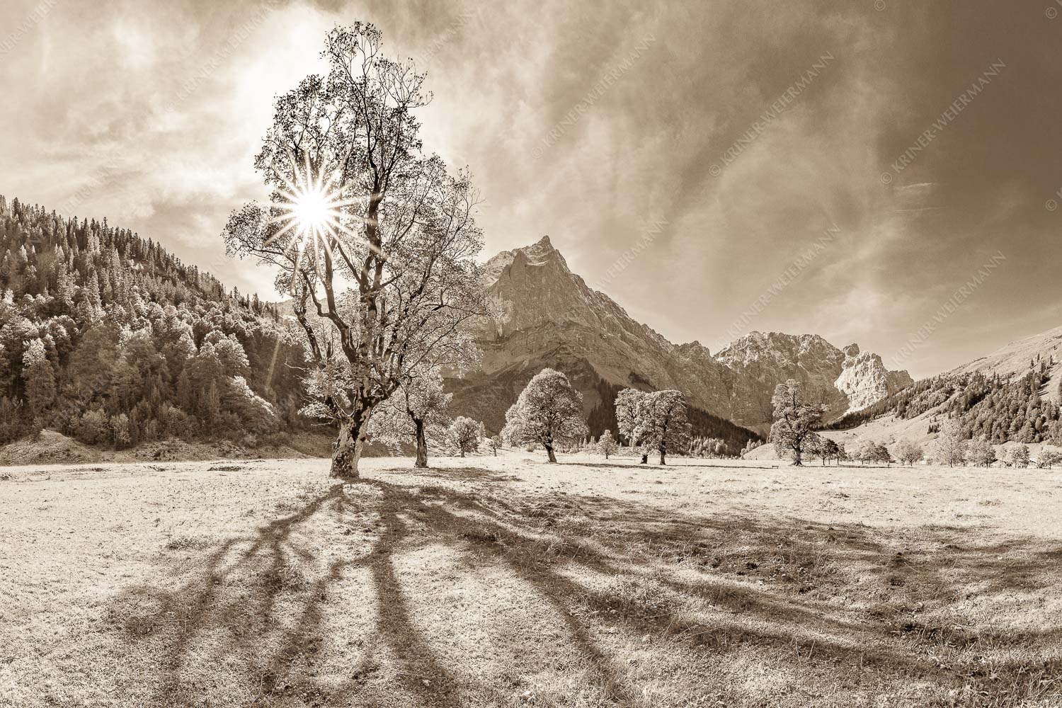 Blick vom Ahornboden zur Spritzkarspitze im Karwendel - Engahorn 3:2 sepia -- Engalm Ahornboden Karwendel - mehr Infos bei www.Kriner-Weiermann.de