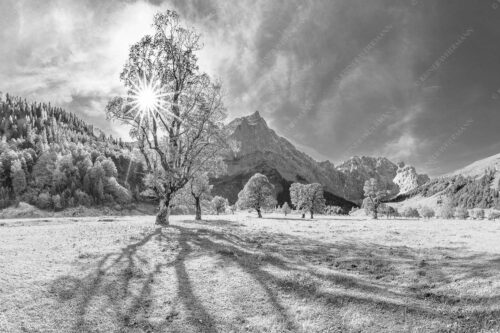 Blick vom Ahornboden zur Spritzkarspitze im Karwendel - Engahorn 3:2 sw -- Engalm Ahornboden Karwendel - mehr Infos bei www.Kriner-Weiermann.de