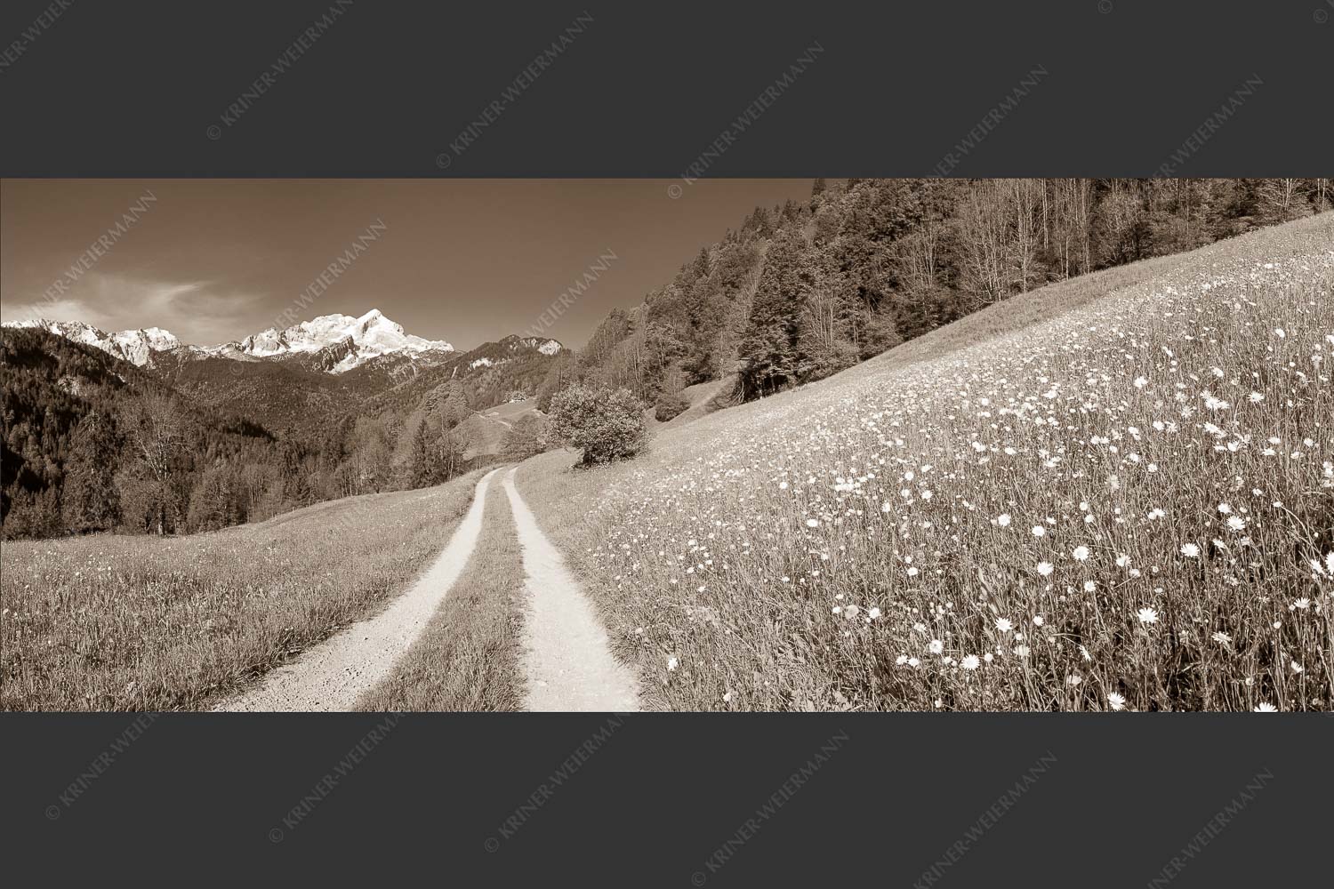 Feldweg durch die Bergbauernwiesen unterhalb vom Eckbauern - Feldweg 2,5:1 sepia -- Alpspitze mit Hintergraseck - mehr Infos bei www.Kriner-Weiermann.de