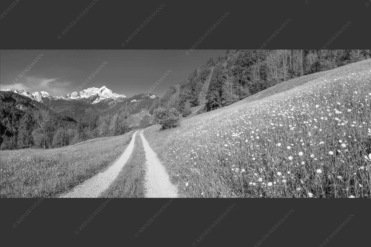 Feldweg durch die Bergbauernwiesen unterhalb vom Eckbauern - Feldweg 2,5:1 sw -- Alpspitze mit Hintergraseck - mehr Infos bei www.Kriner-Weiermann.de