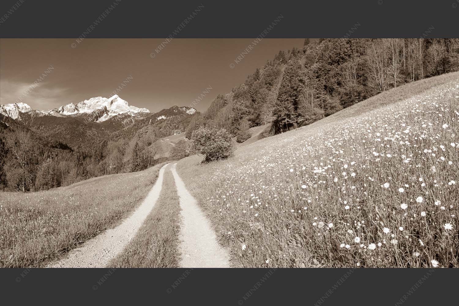 Feldweg durch die Bergbauernwiesen unterhalb vom Eckbauern - Feldweg 2:1 sepia -- Alpspitze mit Hintergraseck - mehr Infos bei www.Kriner-Weiermann.de
