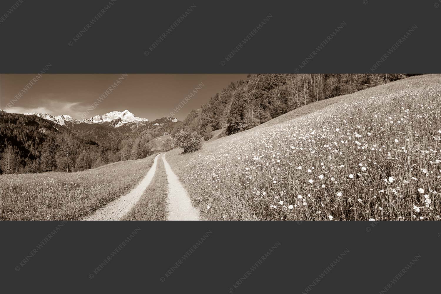 Feldweg durch die Bergbauernwiesen unterhalb vom Eckbauern - Feldweg 3:1 sepia -- Alpspitze mit Hintergraseck - mehr Infos bei www.Kriner-Weiermann.de