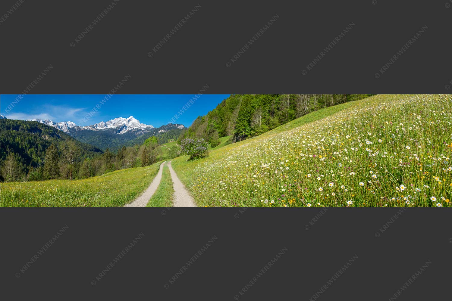 Feldweg durch die Bergbauernwiesen unterhalb vom Eckbauern - Feldweg 4:1  -- Alpspitze mit Hintergraseck - mehr Infos bei www.Kriner-Weiermann.de