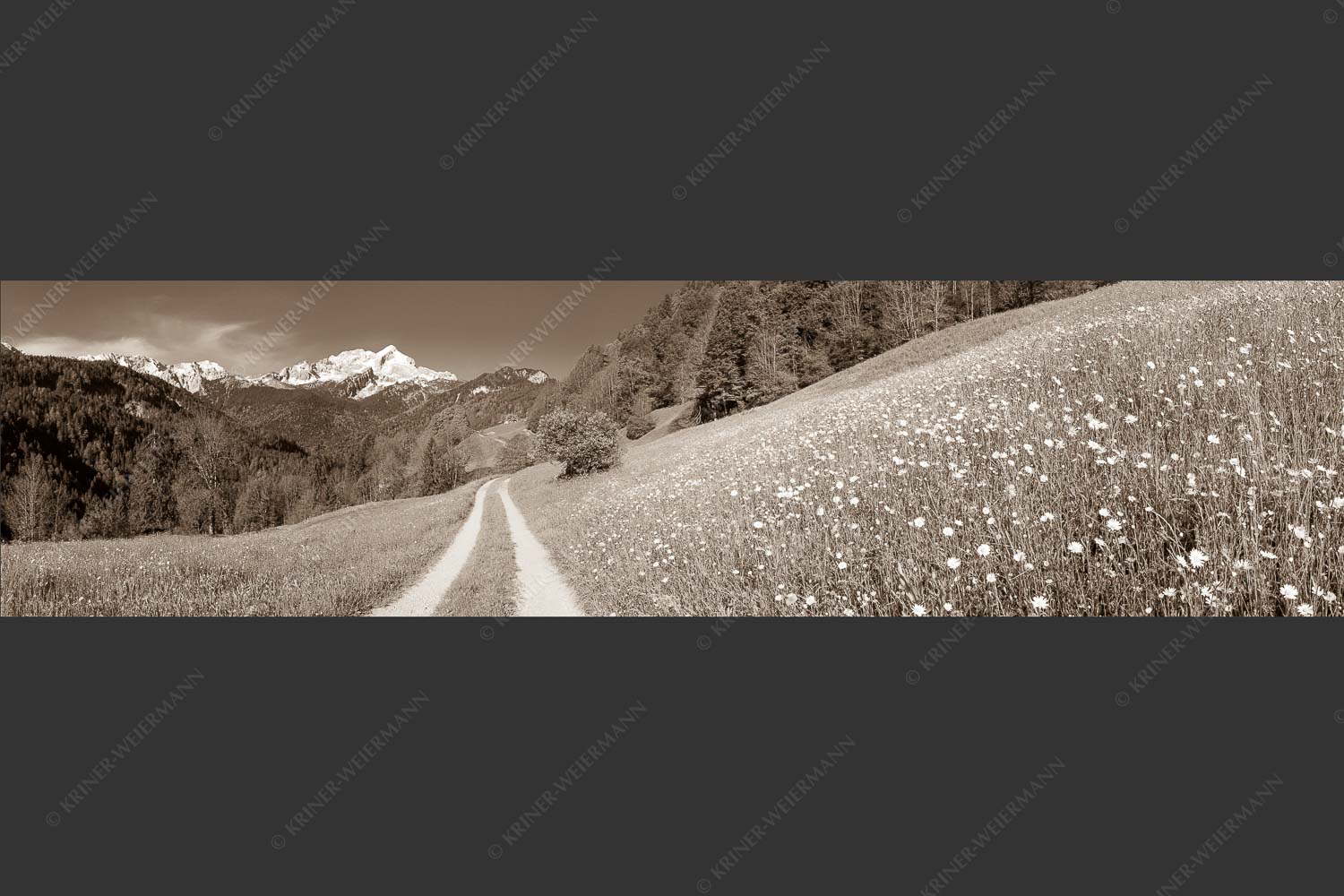Feldweg durch die Bergbauernwiesen unterhalb vom Eckbauern - Feldweg 4:1 sepia -- Alpspitze mit Hintergraseck - mehr Infos bei www.Kriner-Weiermann.de