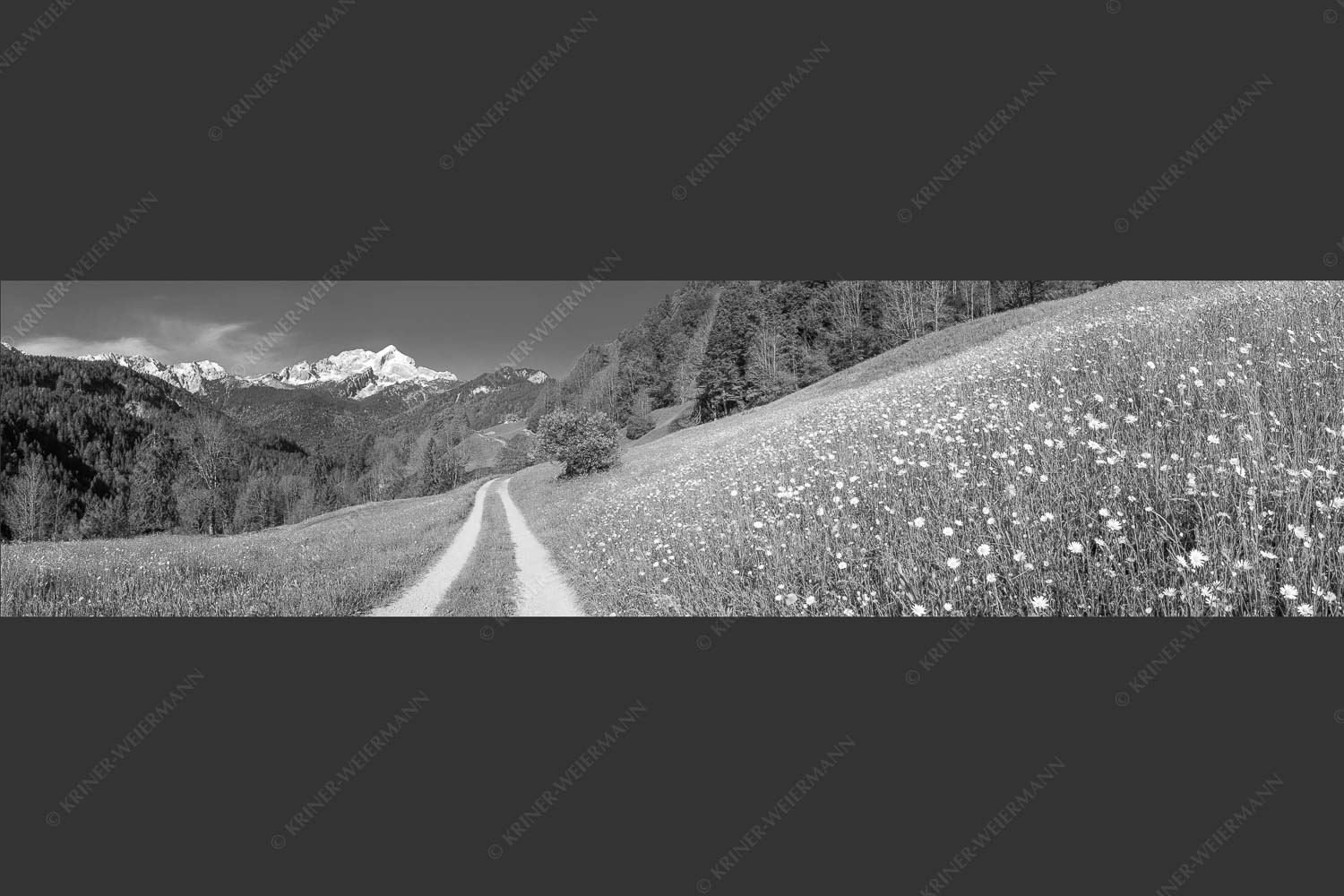 Feldweg durch die Bergbauernwiesen unterhalb vom Eckbauern - Feldweg 4:1 sw -- Alpspitze mit Hintergraseck - mehr Infos bei www.Kriner-Weiermann.de