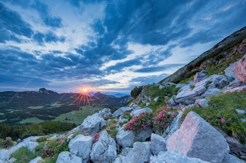Sonnenaufgang im Estergebirge mit Blick zur Hohen Kiste und Simetsberg - Feuerrot 3:2  -- Almrosen im Estergebirge - mehr Infos bei www.Kriner-Weiermann.de