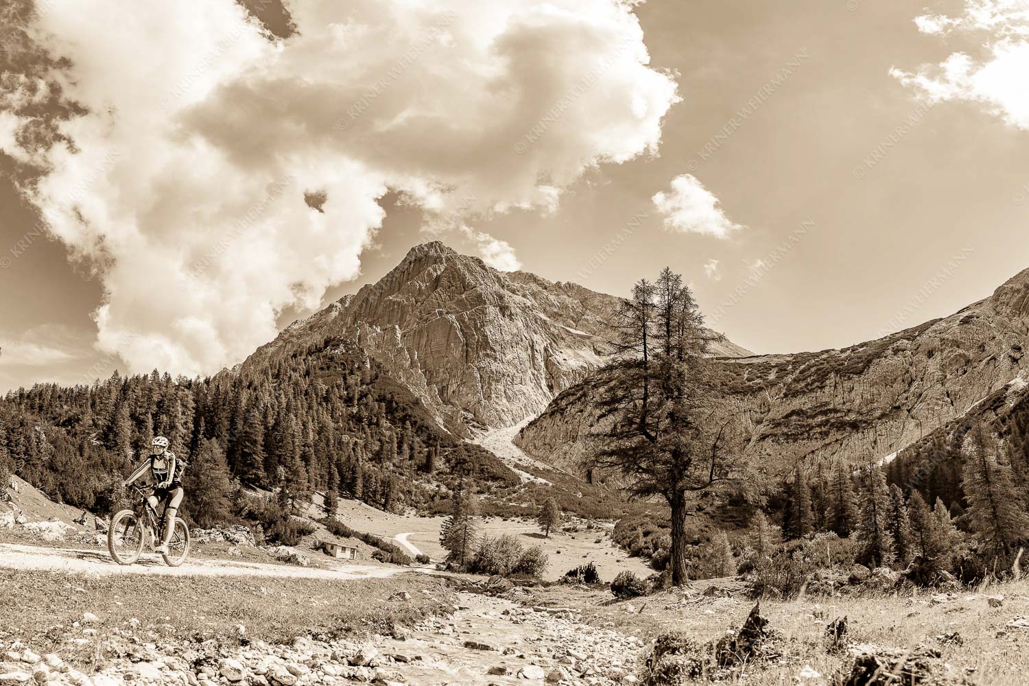 MTB Fahrerin im Halleranger mit Speckkarspitze im Karwendelgebirge - Freudige Abfahrt 3:2 sepia -- Mountainbike Halleranger im Karwendel - mehr Infos bei www.Kriner-Weiermann.de