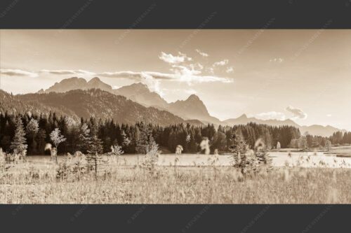 Blick über den Geroldsee mit Zugspitzmassiv im Wetterstein - Frische Birken 2:1 sepia -- Geroldsee mit Zugspitzmassiv - mehr Infos bei www.Kriner-Weiermann.de