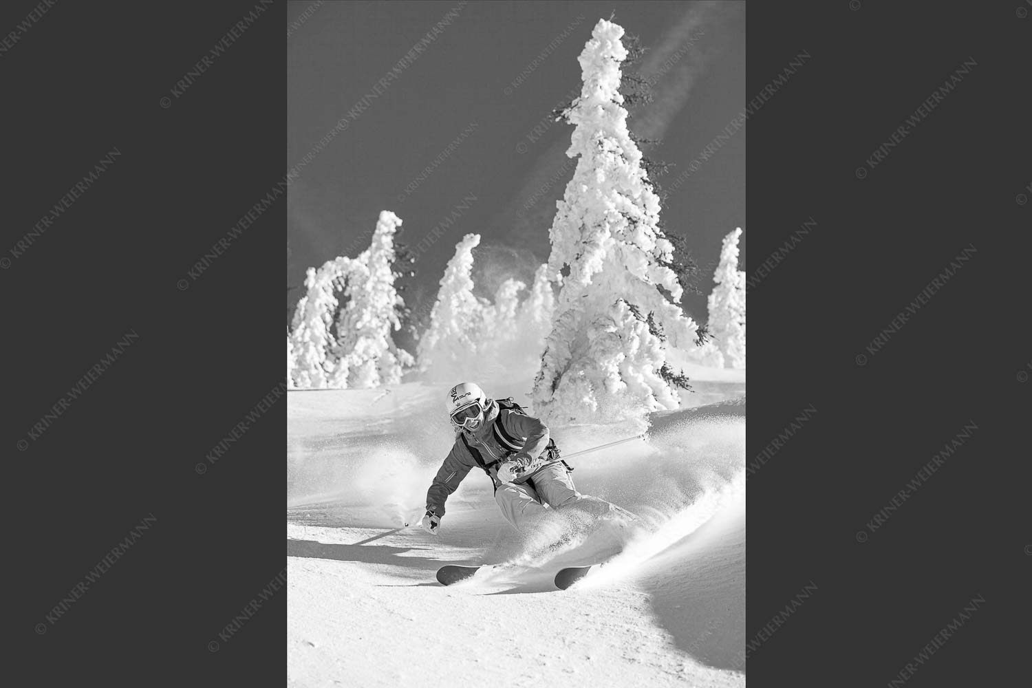 Pulverschnee zwischen angeraumten Bäumen - Fun 2:3 sw -- Freeride Skifahren - mehr Infos bei www.Kriner-Weiermann.de