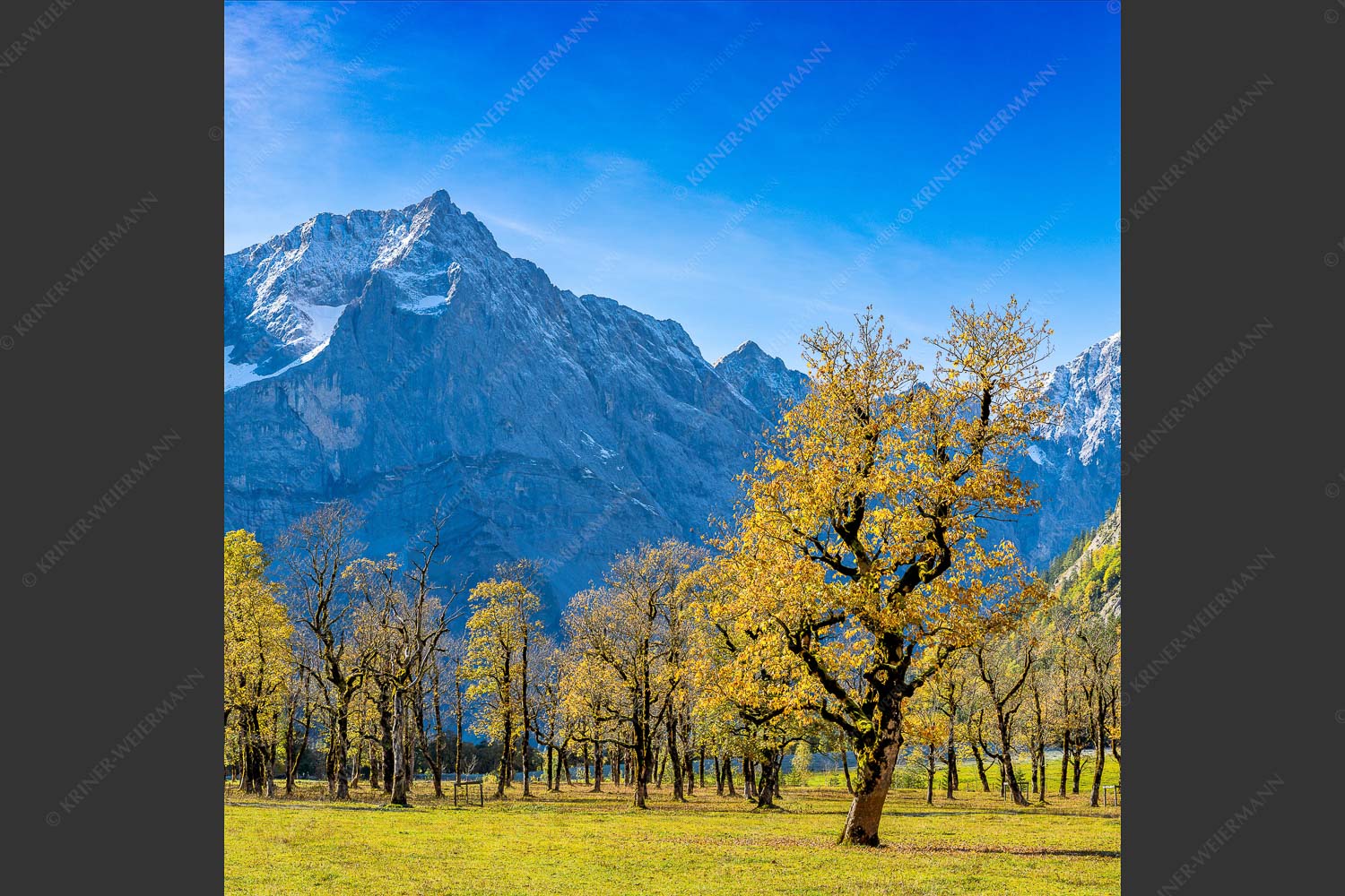 Blick über Großen Ahornboden zur Spritzkarspitze im Karwendelgebirge - Goldgrube 1:1 -- Herbstfärbung am Ahornboden - mehr Infos bei www.Kriner-Weiermann.de