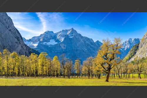 Blick über Großen Ahornboden zur Spritzkarspitze im Karwendelgebirge - Goldgrube 2:1  -- Herbstfärbung am Ahornboden - mehr Infos bei www.Kriner-Weiermann.de