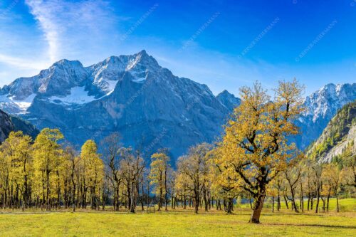 Blick über Großen Ahornboden zur Spritzkarspitze im Karwendelgebirge - Goldgrube 3:2  -- Herbstfärbung am Ahornboden - mehr Infos bei www.Kriner-Weiermann.de