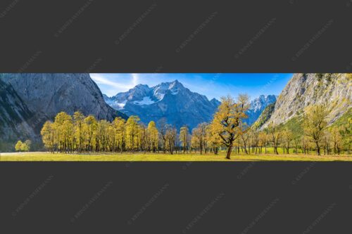 Blick über Großen Ahornboden zur Spritzkarspitze im Karwendelgebirge - Goldgrube 4:1  -- Herbstfärbung am Ahornboden - mehr Infos bei www.Kriner-Weiermann.de