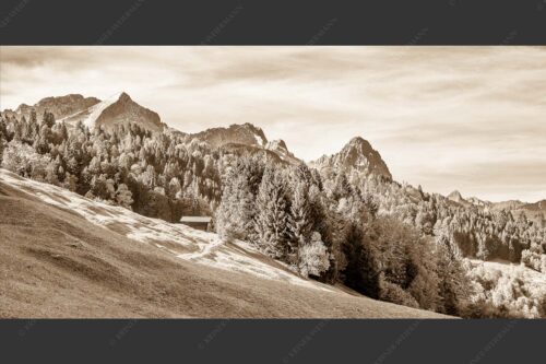 Ahorn mit Blick auf Alpspitz, Zugspitz und Waxenstein - Herbstliches Zugspitzmassiv II 2:1 sepia -- Buckelwiesen am Wamberg - mehr Infos bei www.Kriner-Weiermann.de