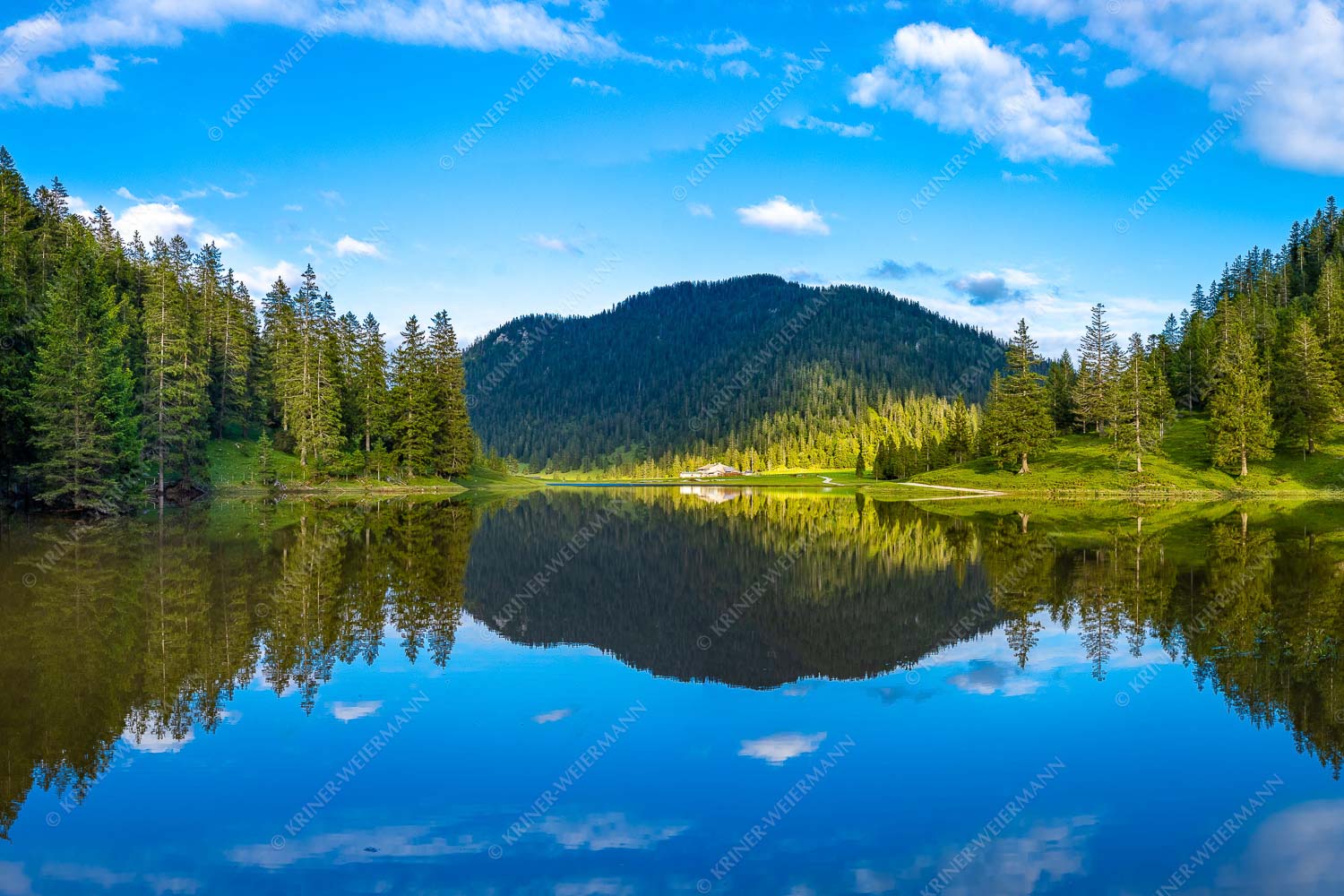 Blick über Esterbergsee zur Esterbergalm - Heute Esterbergsee 3:2 -- Esterbergalm Hochwasser - mehr Infos bei www.Kriner-Weiermann.de