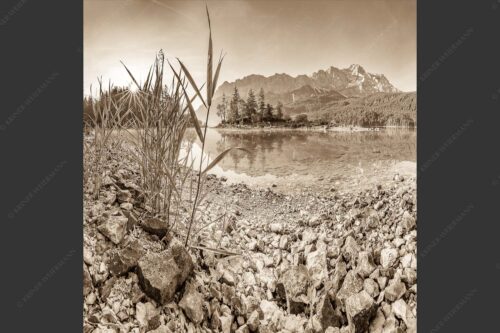 Sonnenaufgang am Eibsee mit Blick zur Zugspitze - Hinterm Schilf 1:1 sepia -- Eibseeufer mit Zugspitze - mehr Infos bei www.Kriner-Weiermann.de