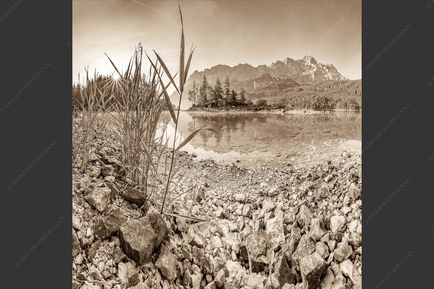 Sonnenaufgang am Eibsee mit Blick zur Zugspitze - Hinterm Schilf 1:1 sepia -- Eibseeufer mit Zugspitze - mehr Infos bei www.Kriner-Weiermann.de