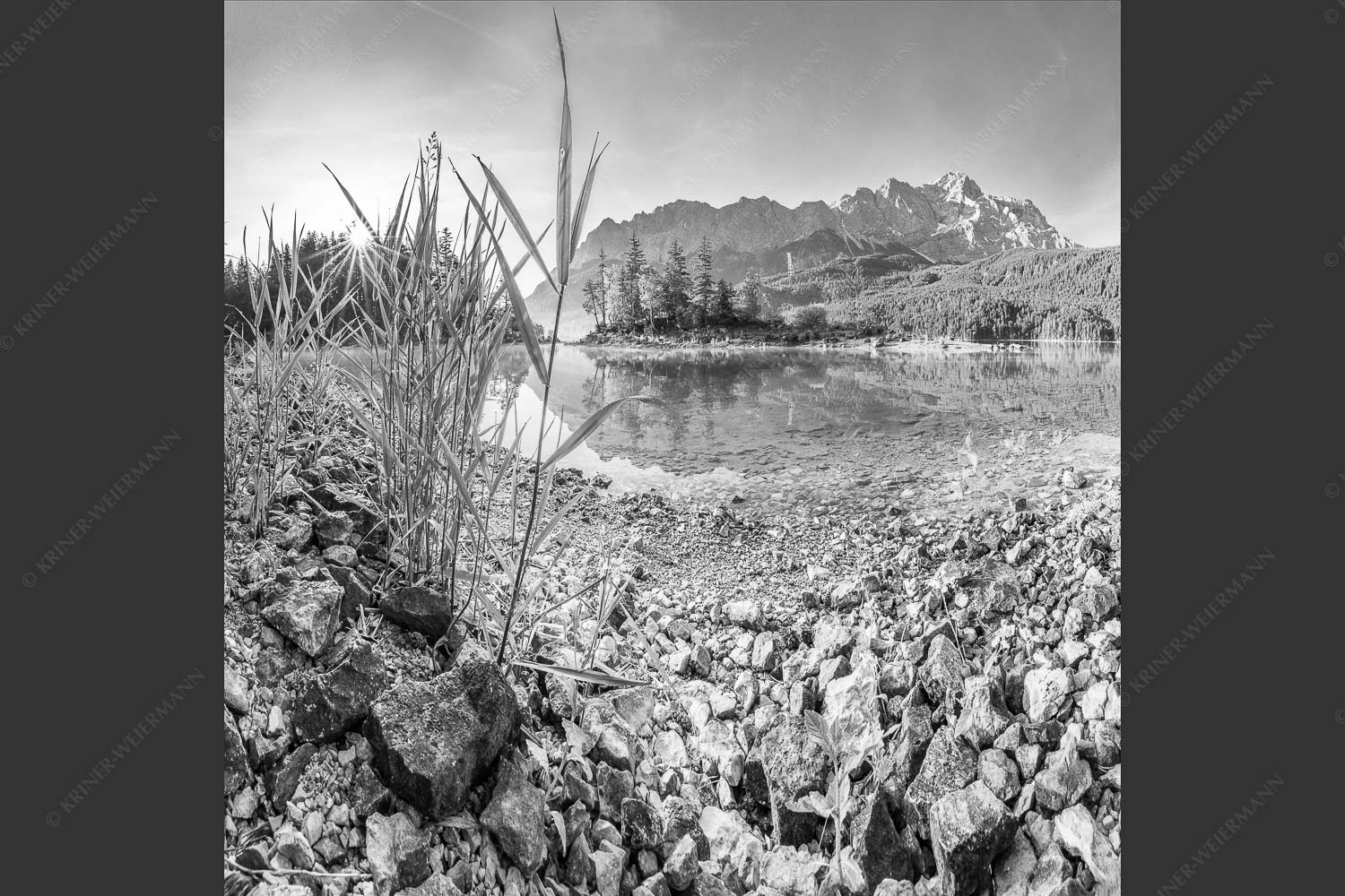 Sonnenaufgang am Eibsee mit Blick zur Zugspitze - Hinterm Schilf 1:1 sw -- Eibseeufer mit Zugspitze - mehr Infos bei www.Kriner-Weiermann.de