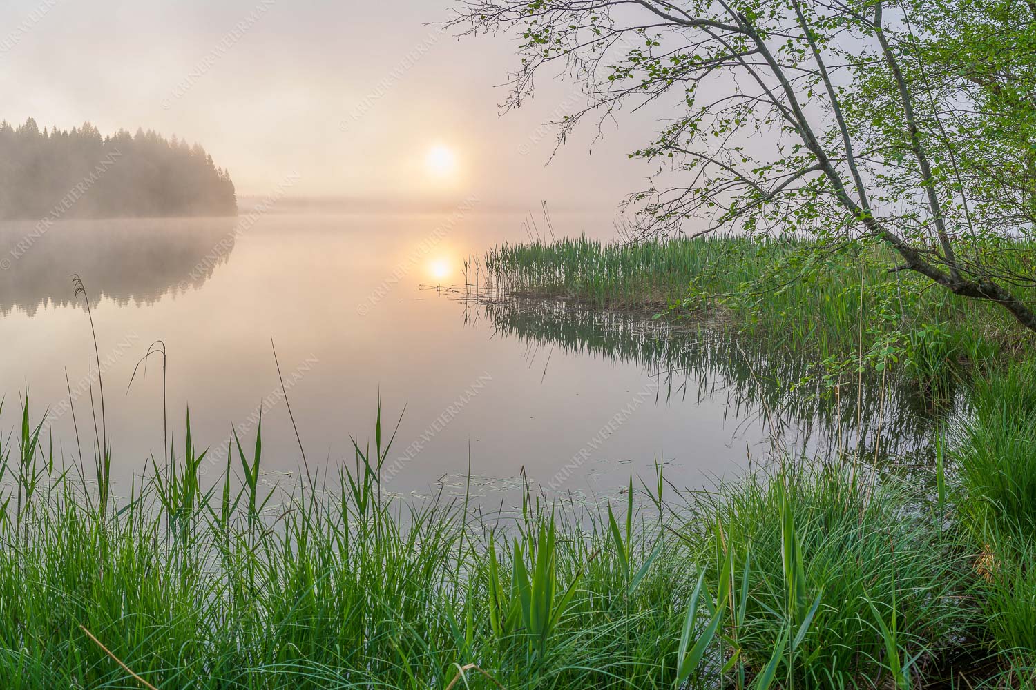 Morgentliche Nebelstimmung am Barmsee bei Krün - Hinterm See 3:2 -- Nebelstimmung am Barmsee - mehr Infos bei www.Kriner-Weiermann.de