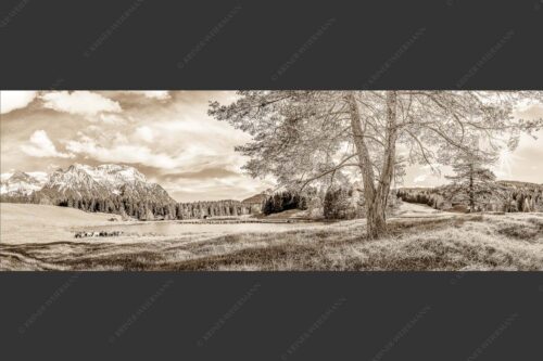 Schafe am Schmalensee mit Blick zum Karwendel - Idylle am See 3:1 sepia -- Schmalensee Schafe und Karwendel - mehr Infos bei www.Kriner-Weiermann.de