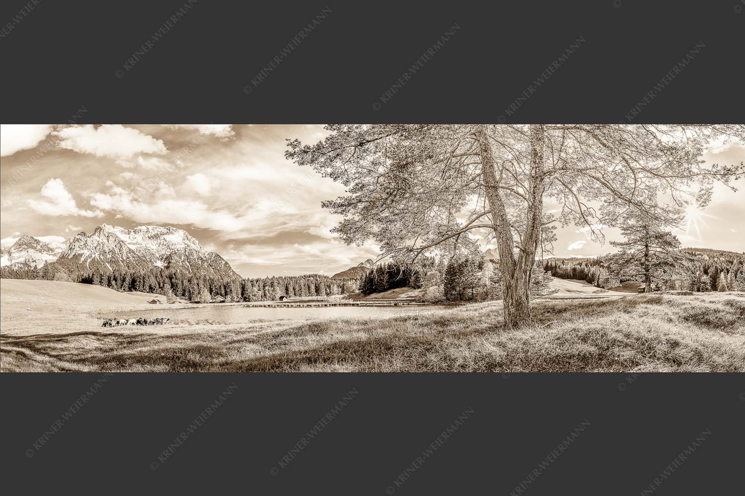 Schafe am Schmalensee mit Blick zum Karwendel - Idylle am See 3:1 sepia -- Schmalensee Schafe und Karwendel - mehr Infos bei www.Kriner-Weiermann.de