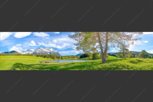 Schafe am Schmalensee mit Blick zum Karwendel - Idylle am See 4:1  -- Schmalensee Schafe und Karwendel - mehr Infos bei www.Kriner-Weiermann.de
